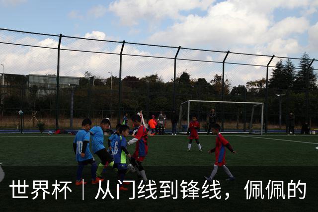 世界杯｜从门线到锋线，佩佩的“人生弧线”