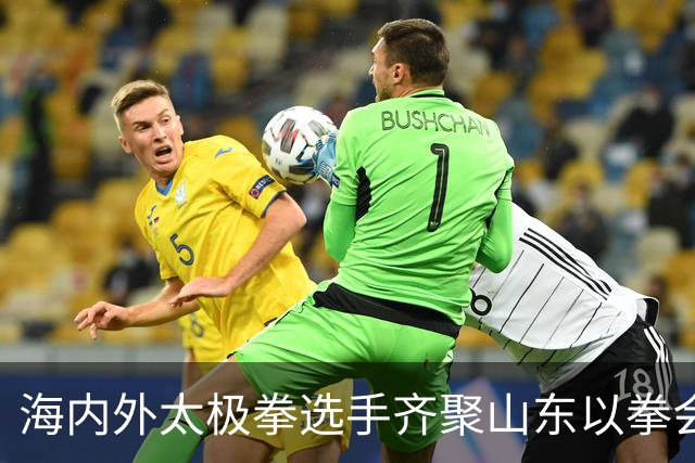 海内外太极拳选手齐聚山东以拳会友
